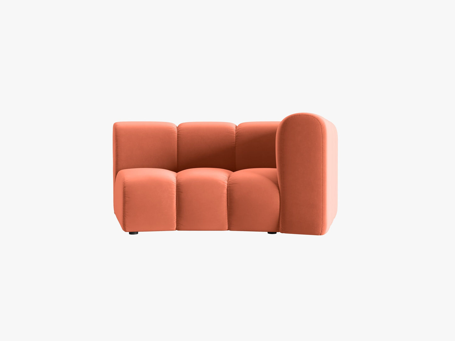 Lupine Velvet (Sal12) / Coral 0