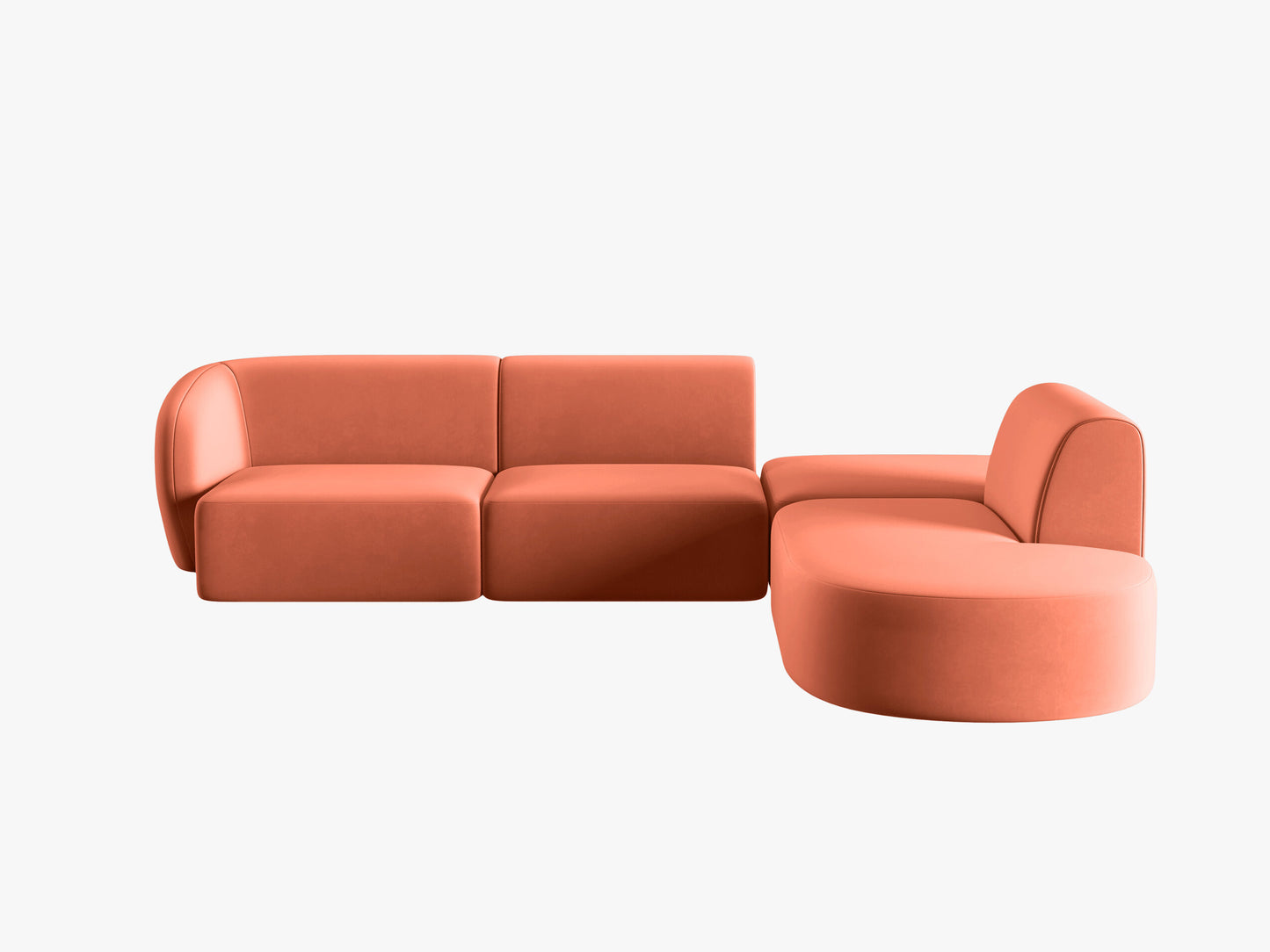 Shane Velvet (Sal12) / Coral 0