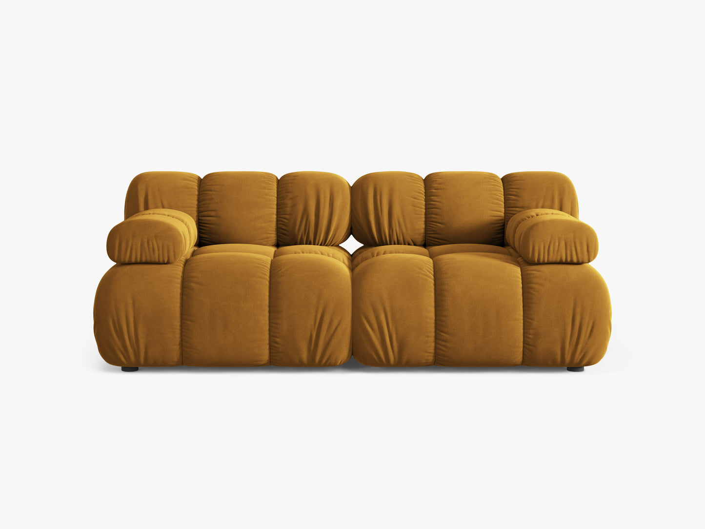 Bellis Velvet (Blu68) / Yellow 0