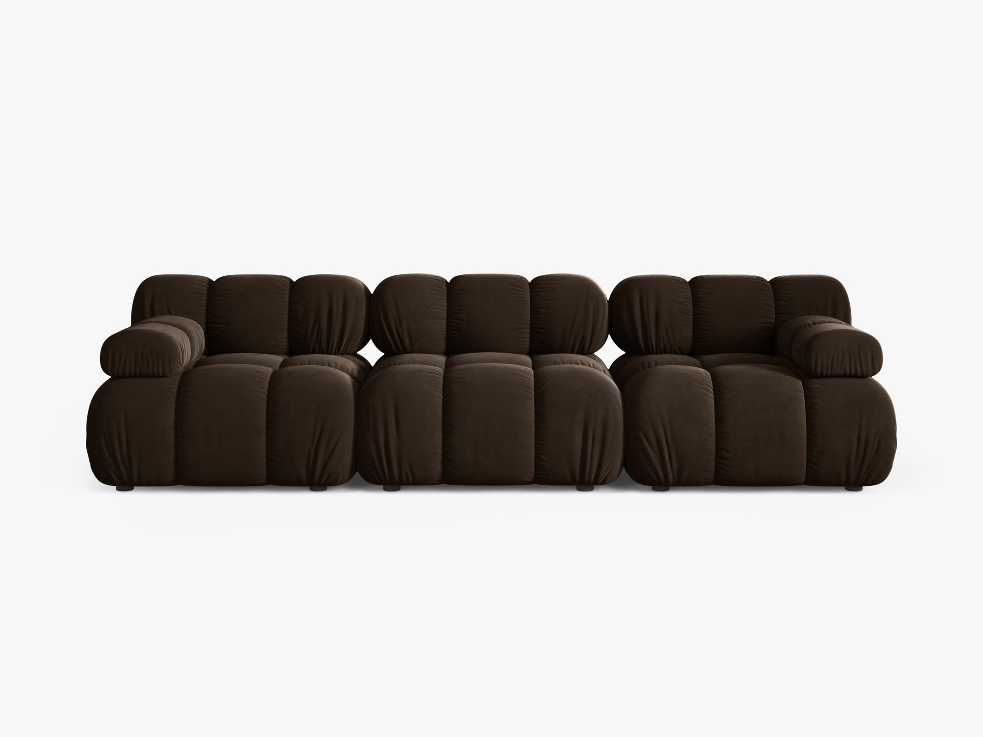 Bellis Velvet (Blu48) / Dark brown 0