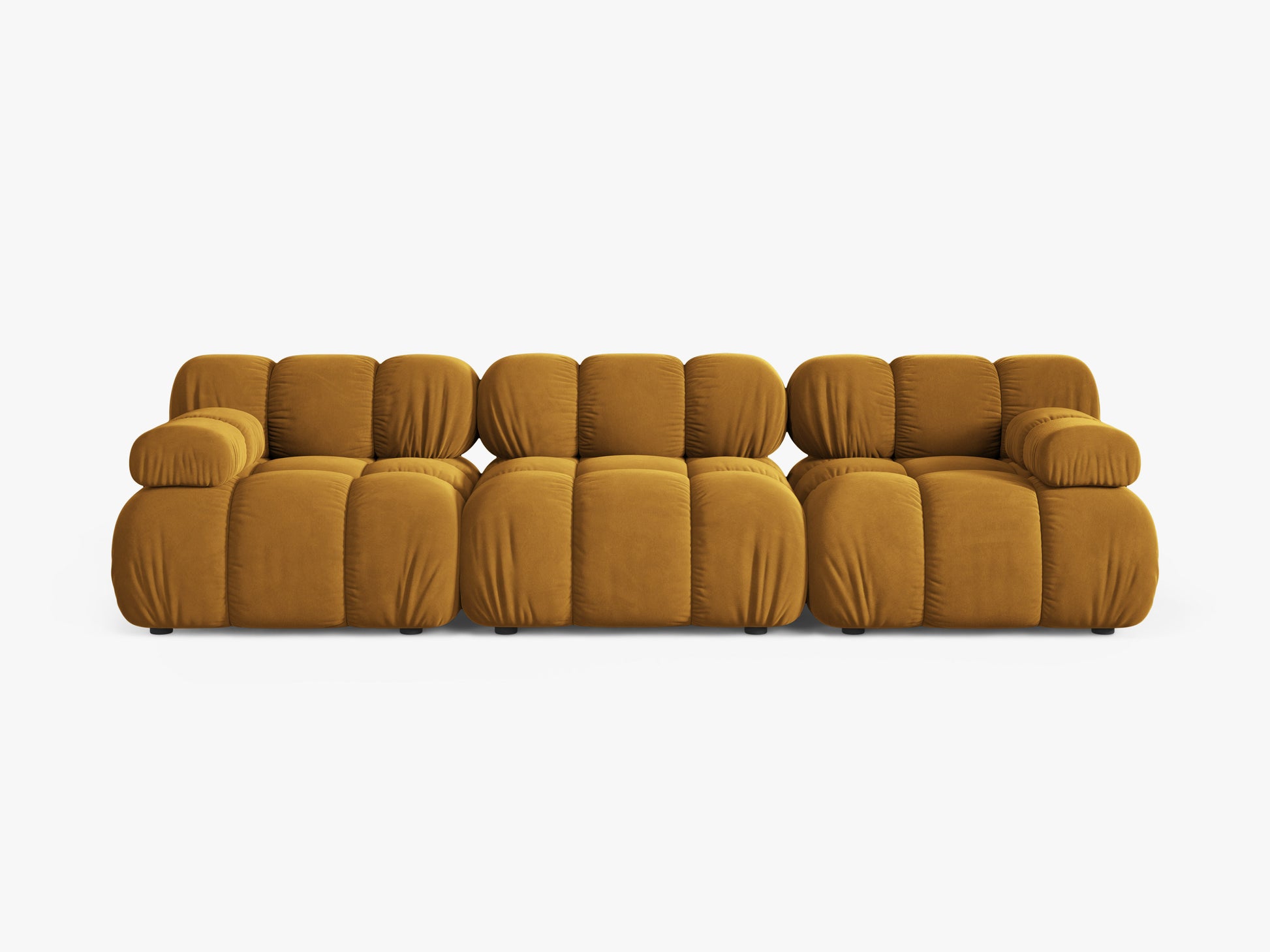 Bellis Velvet (Blu68) / Yellow 0