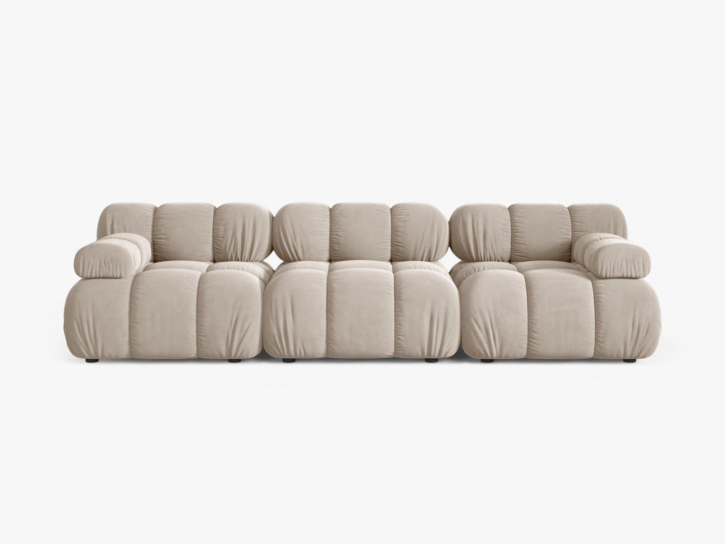 Bellis Velvet (Blu30) / Dark beige 0
