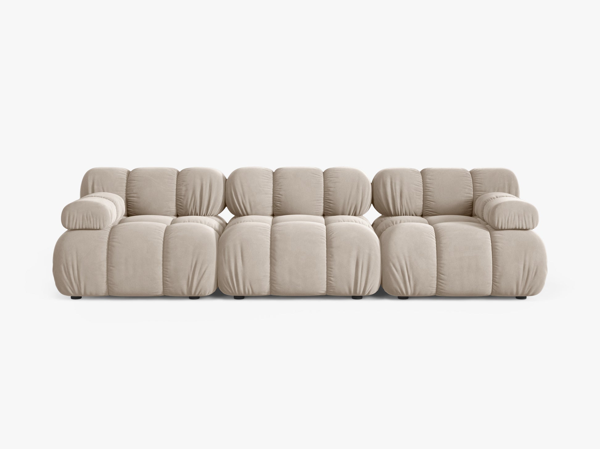 Bellis Velvet (Blu30) / Dark beige 0