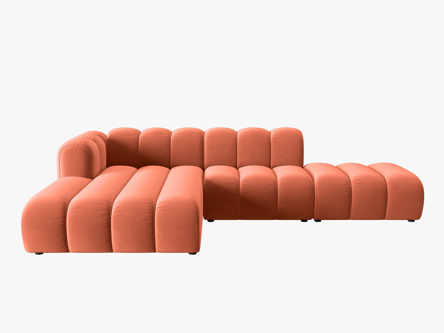 Lupine Velvet (Sal12) / Coral 0