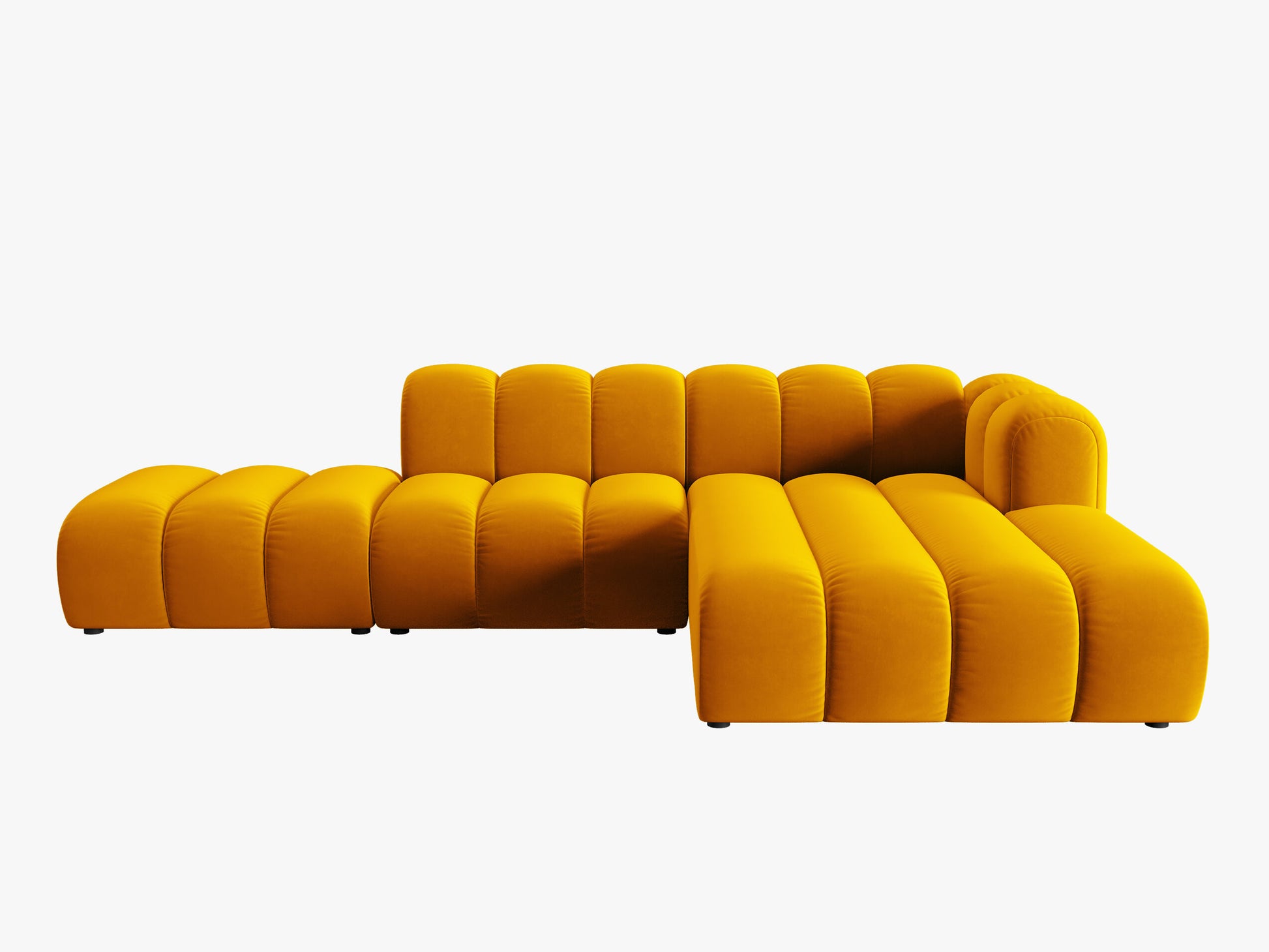 Lupine Velvet (Sal10) / Yellow 0