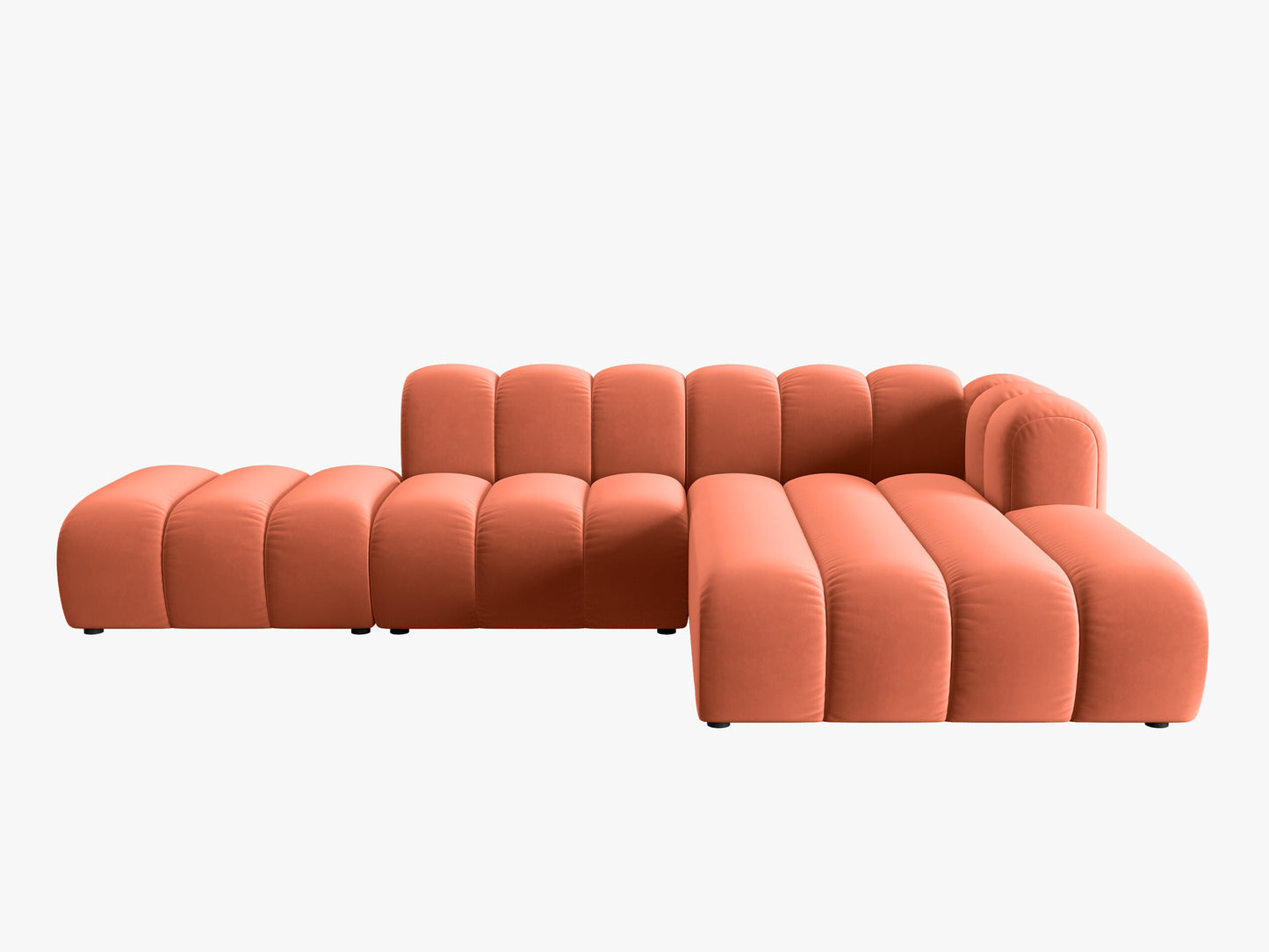 Lupine Velvet (Sal12) / Coral 0