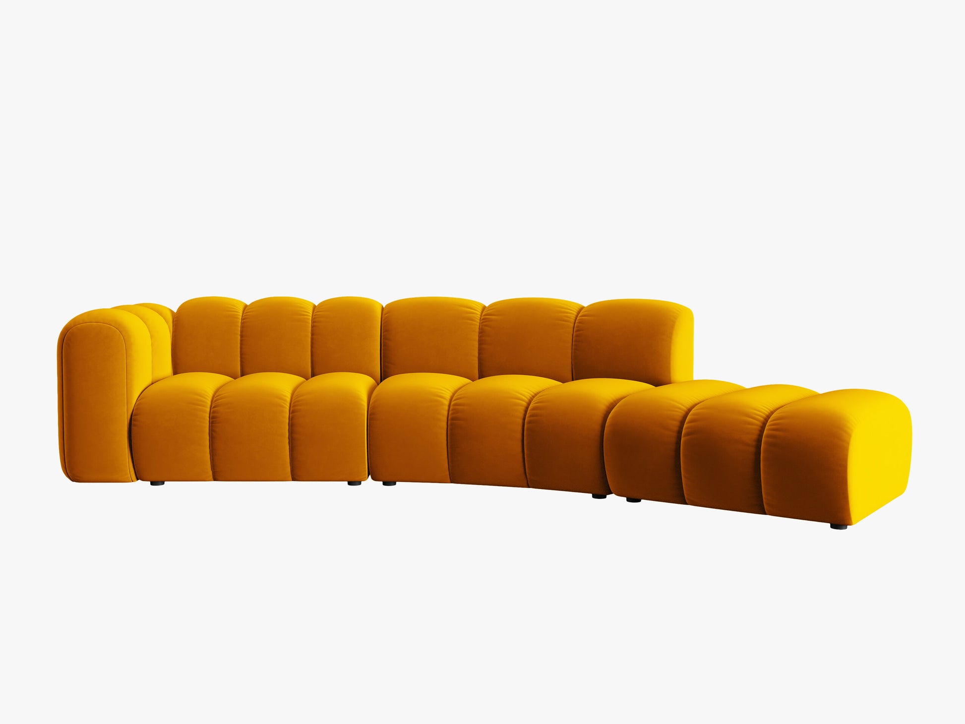 Lupine Velvet (Sal10) / Yellow 0