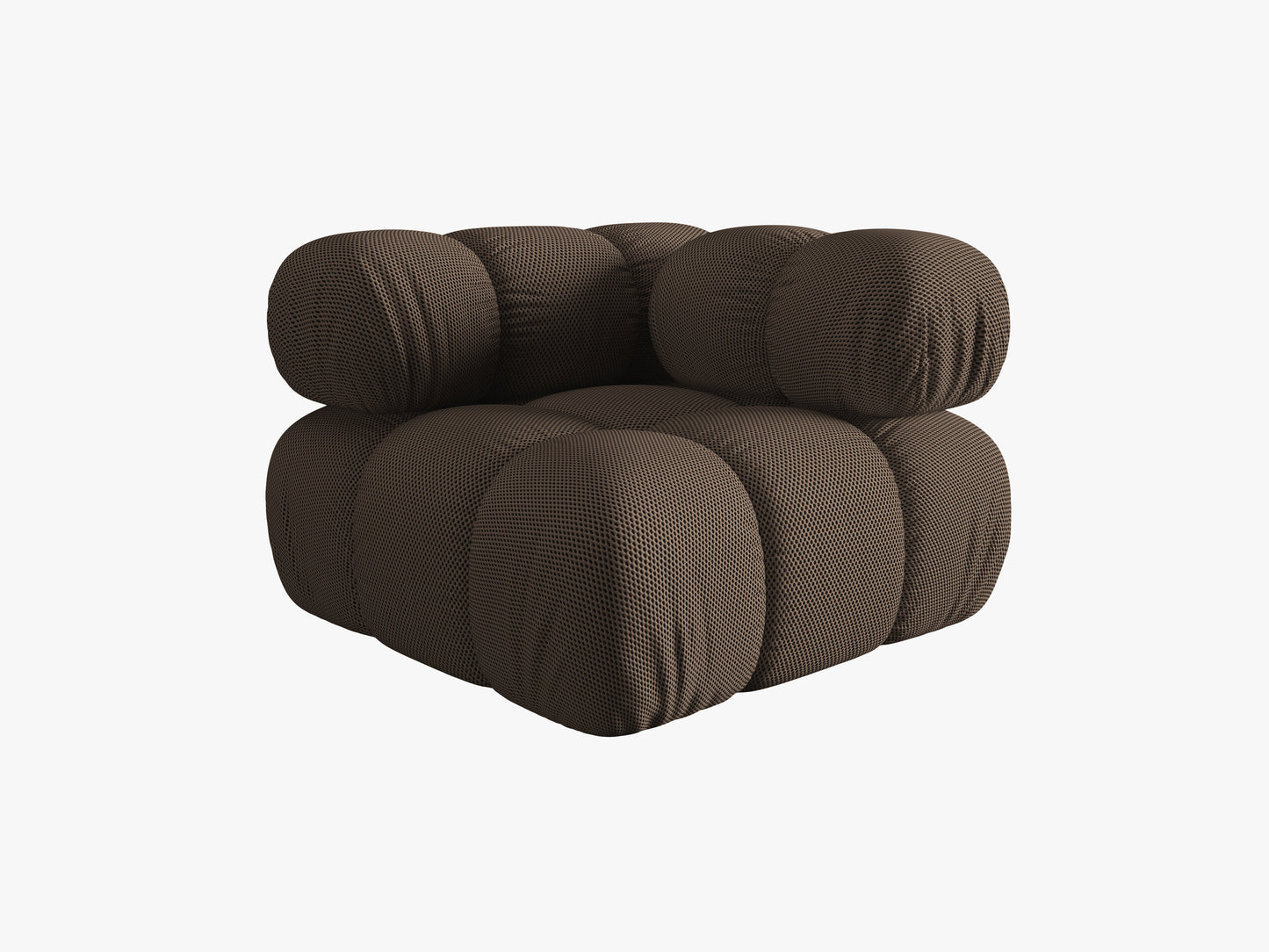 Bellis 3d (Son40) / Brown 0