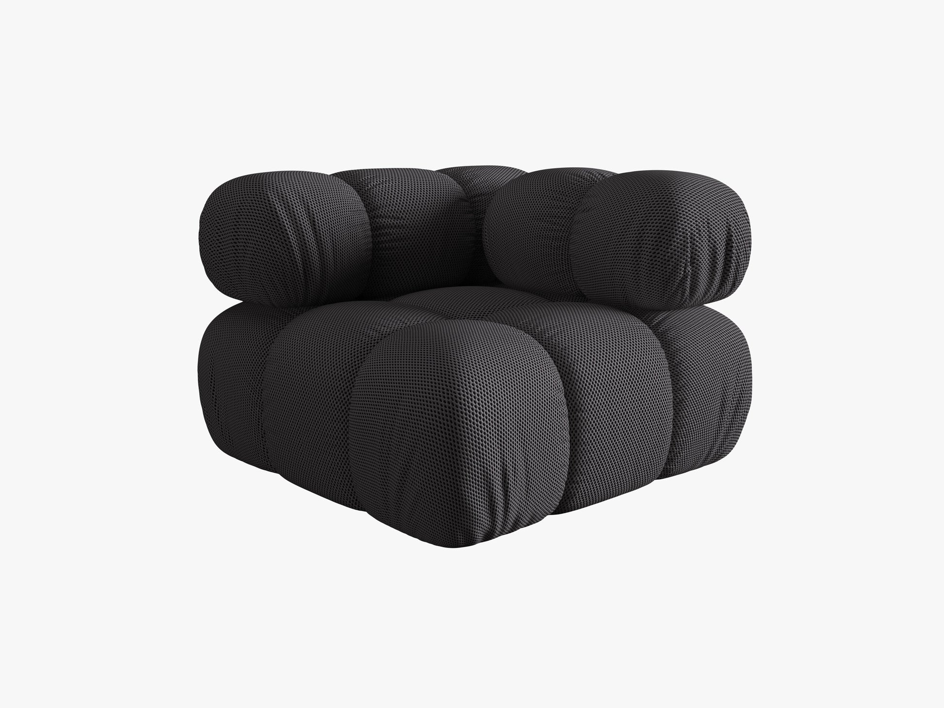 Bellis 3d (Son15) / Espresso 0