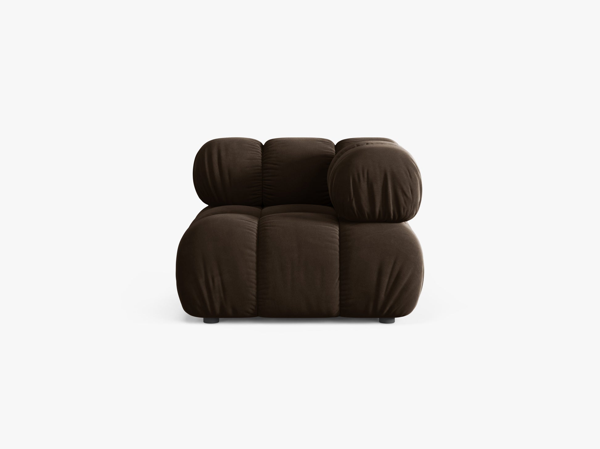 Bellis Velvet (Blu48) / Dark brown 0