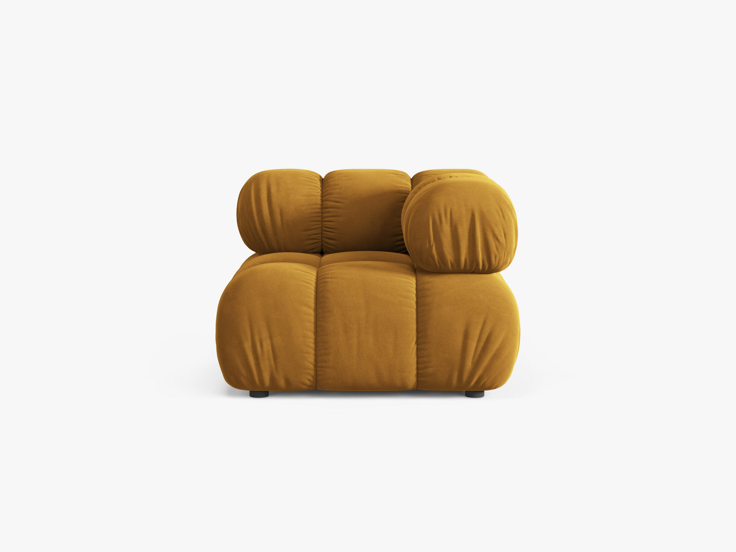 Bellis Velvet (Blu68) / Yellow 0