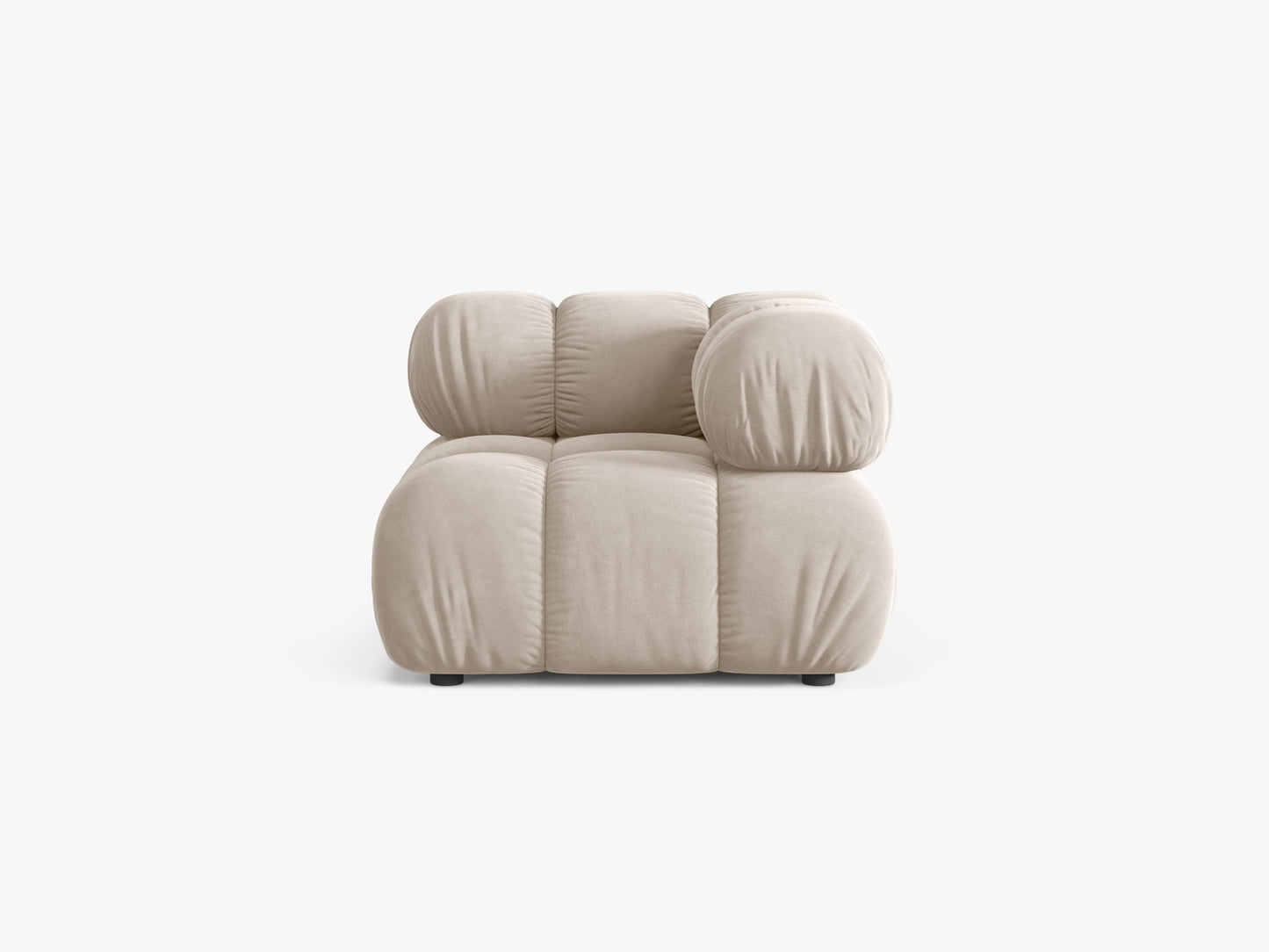 Bellis Velvet (Blu30) / Dark beige 0