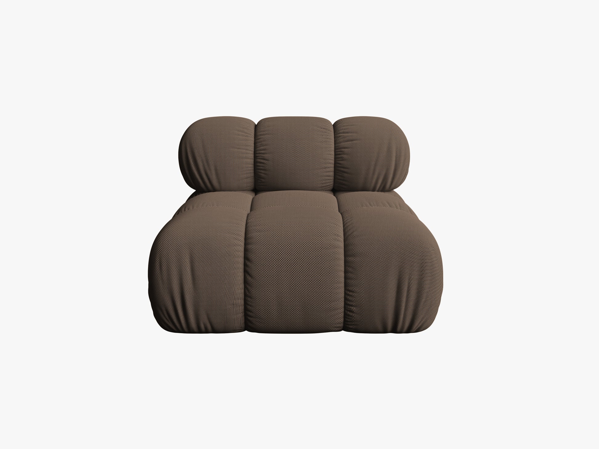 Bellis 3d (Son40) / Brown 0