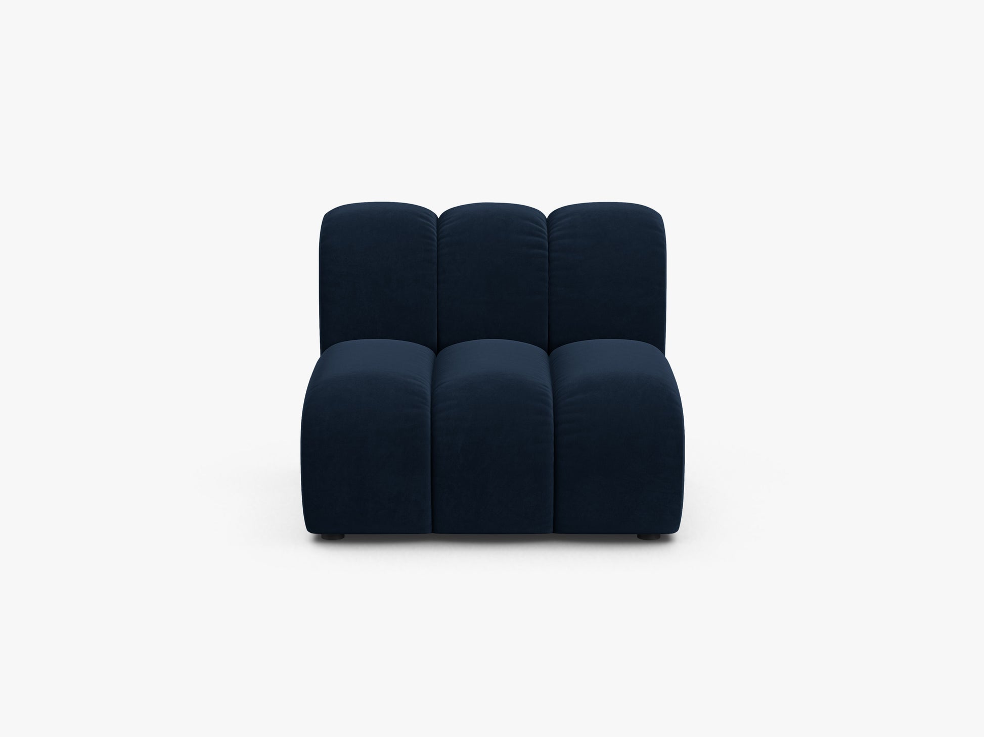 Lupine Velvet (Sal5) / Royal blue 0