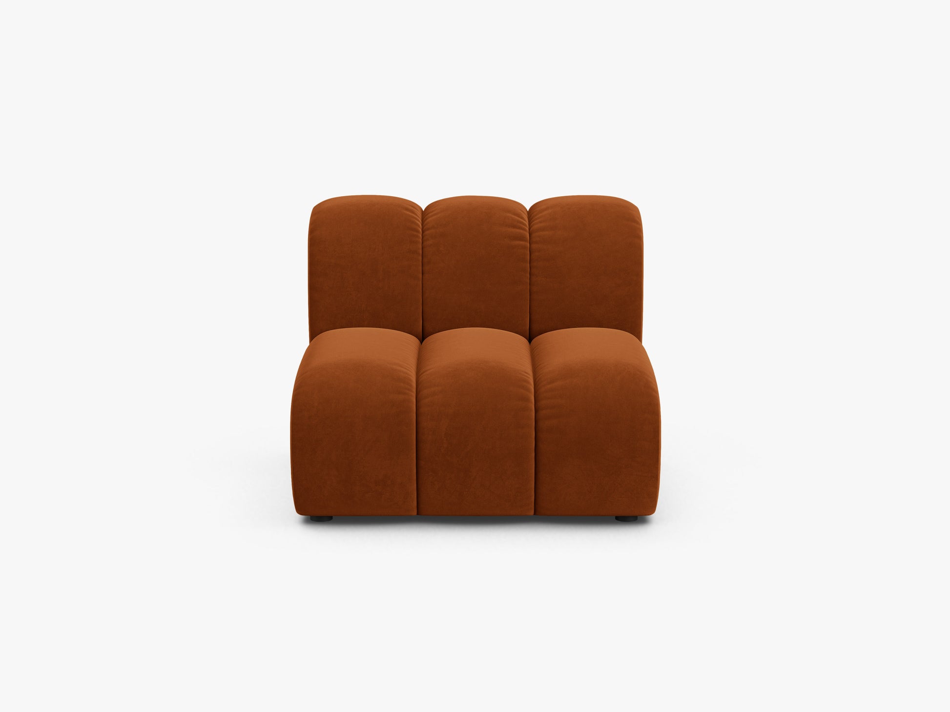 Lupine Velvet (Sal14) / Terracotta 0