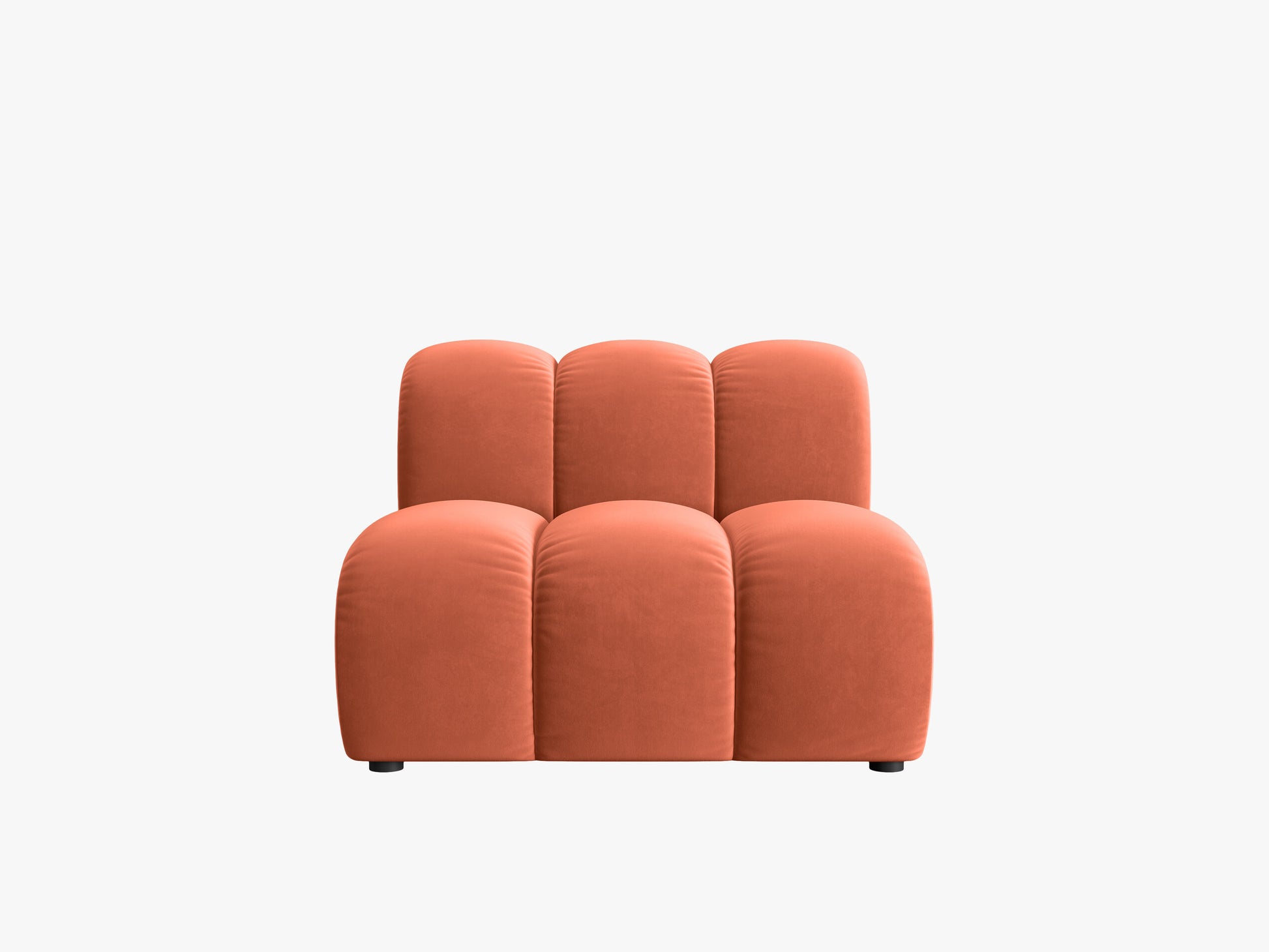 Lupine Velvet (Sal12) / Coral 0