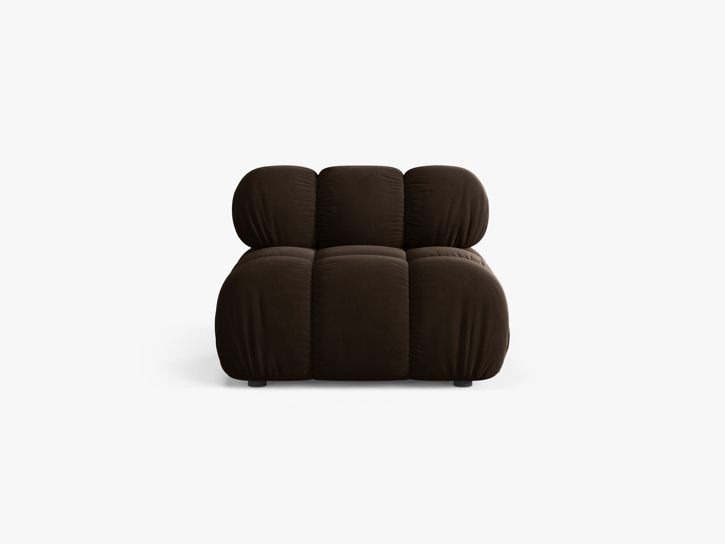 Bellis Velvet (Blu48) / Dark brown 0