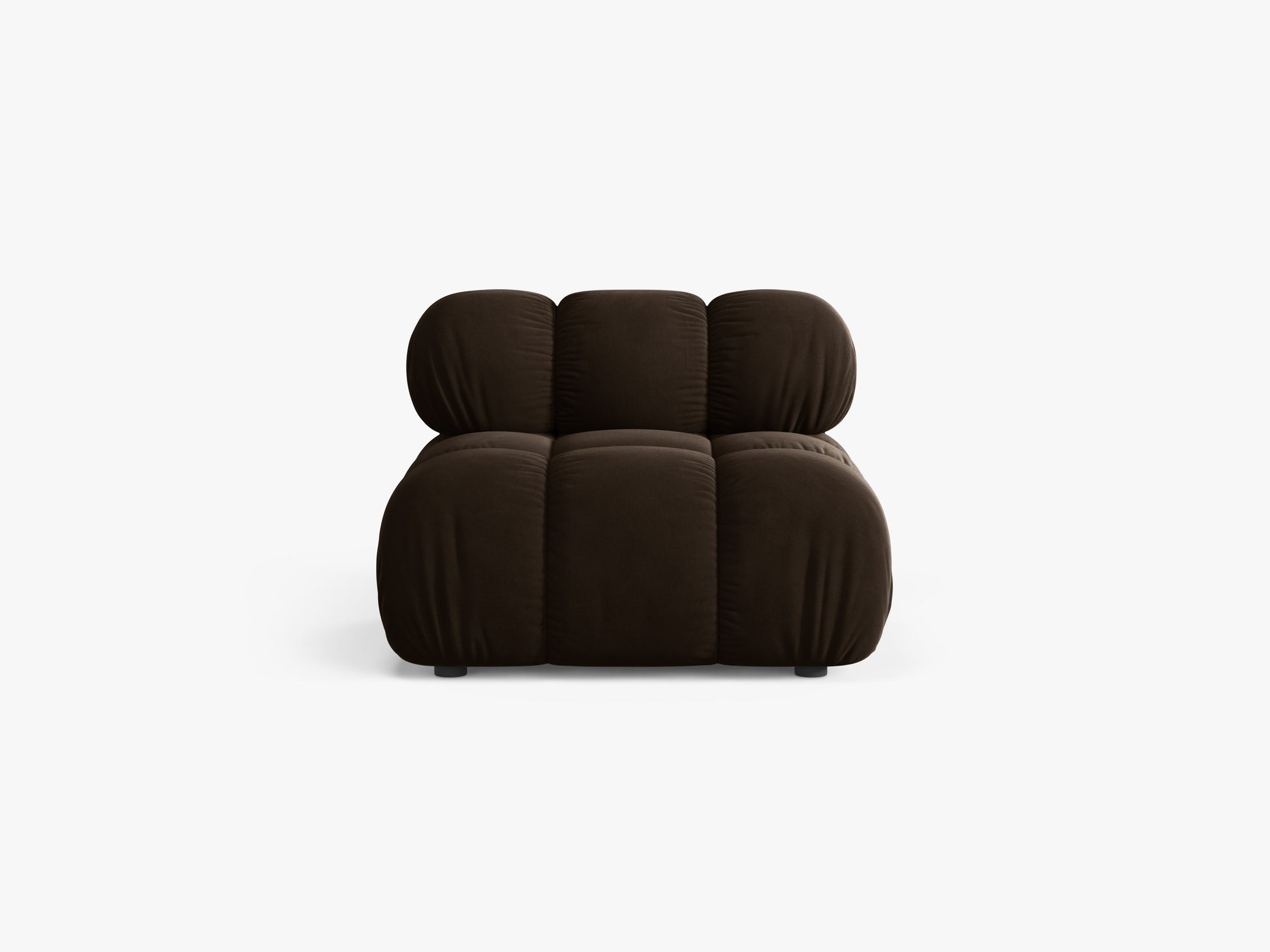 Bellis Velvet (Blu48) / Dark brown 0
