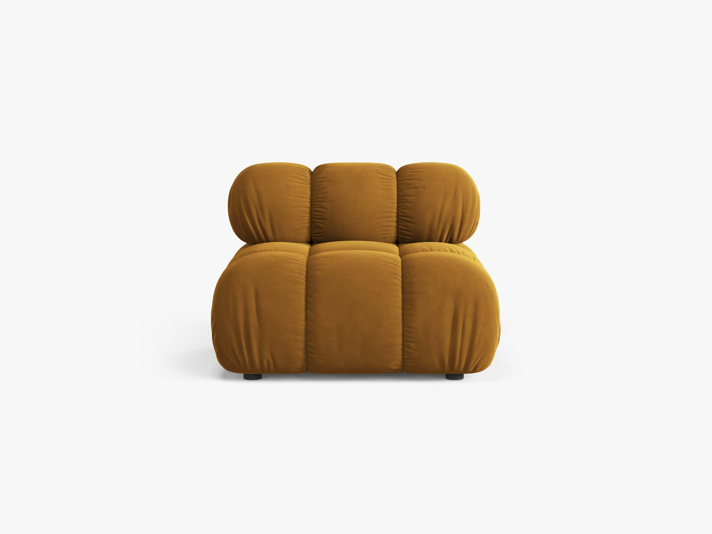 Bellis Velvet (Blu68) / Yellow 0