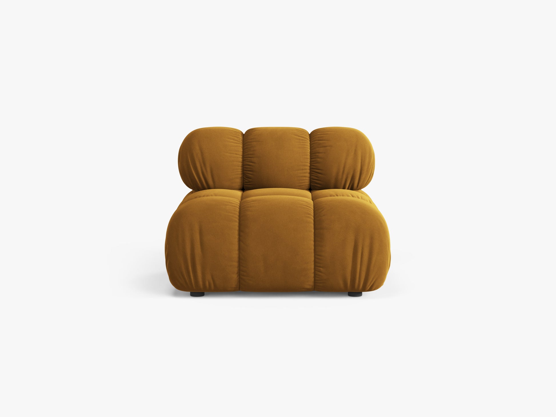 Bellis Velvet (Blu68) / Yellow 0
