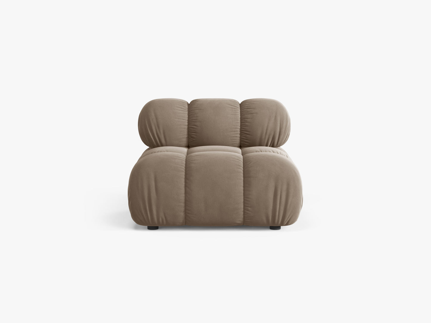Bellis Velvet (Blu40) / Cappuccino 0