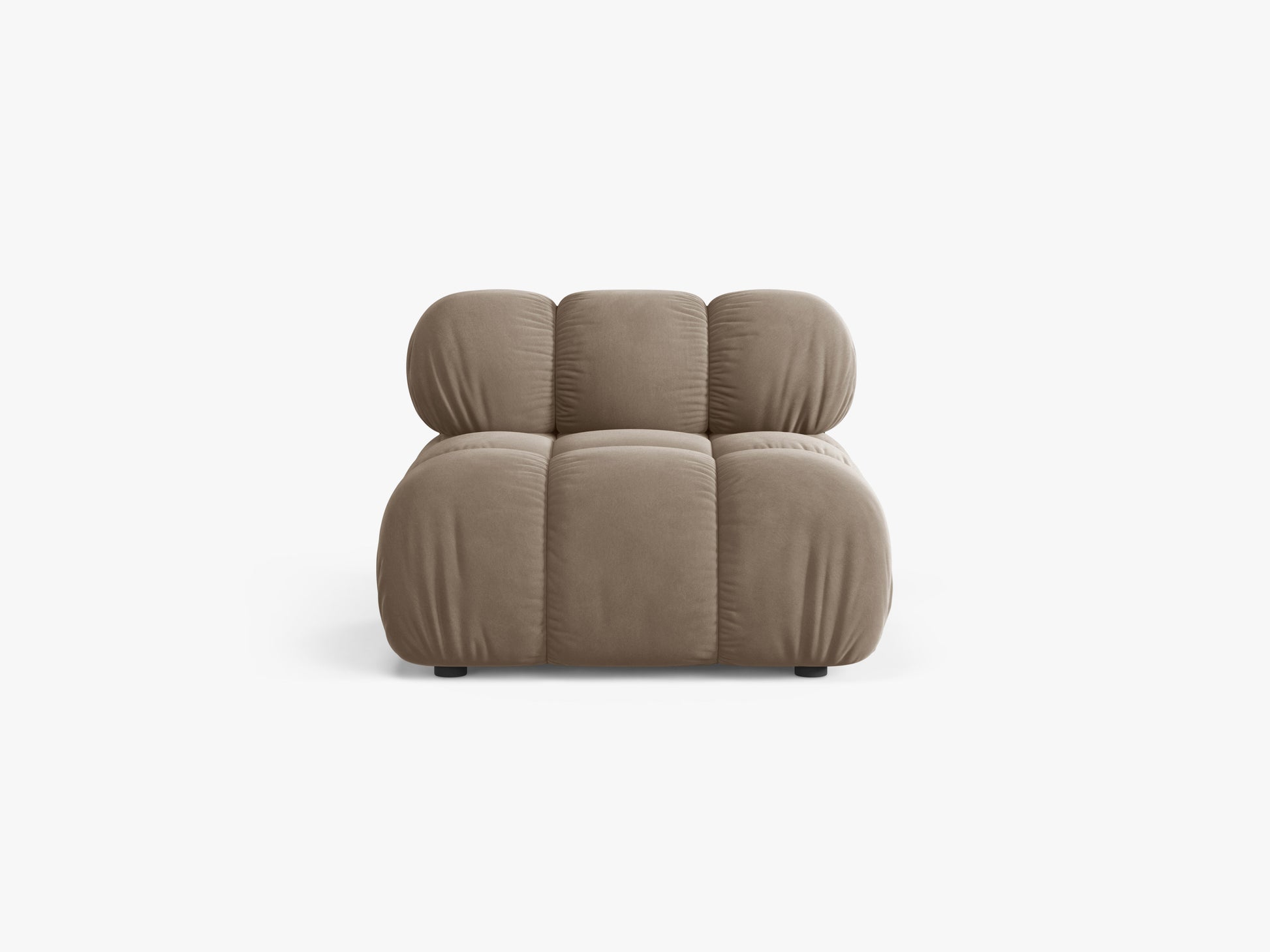 Bellis Velvet (Blu40) / Cappuccino 0
