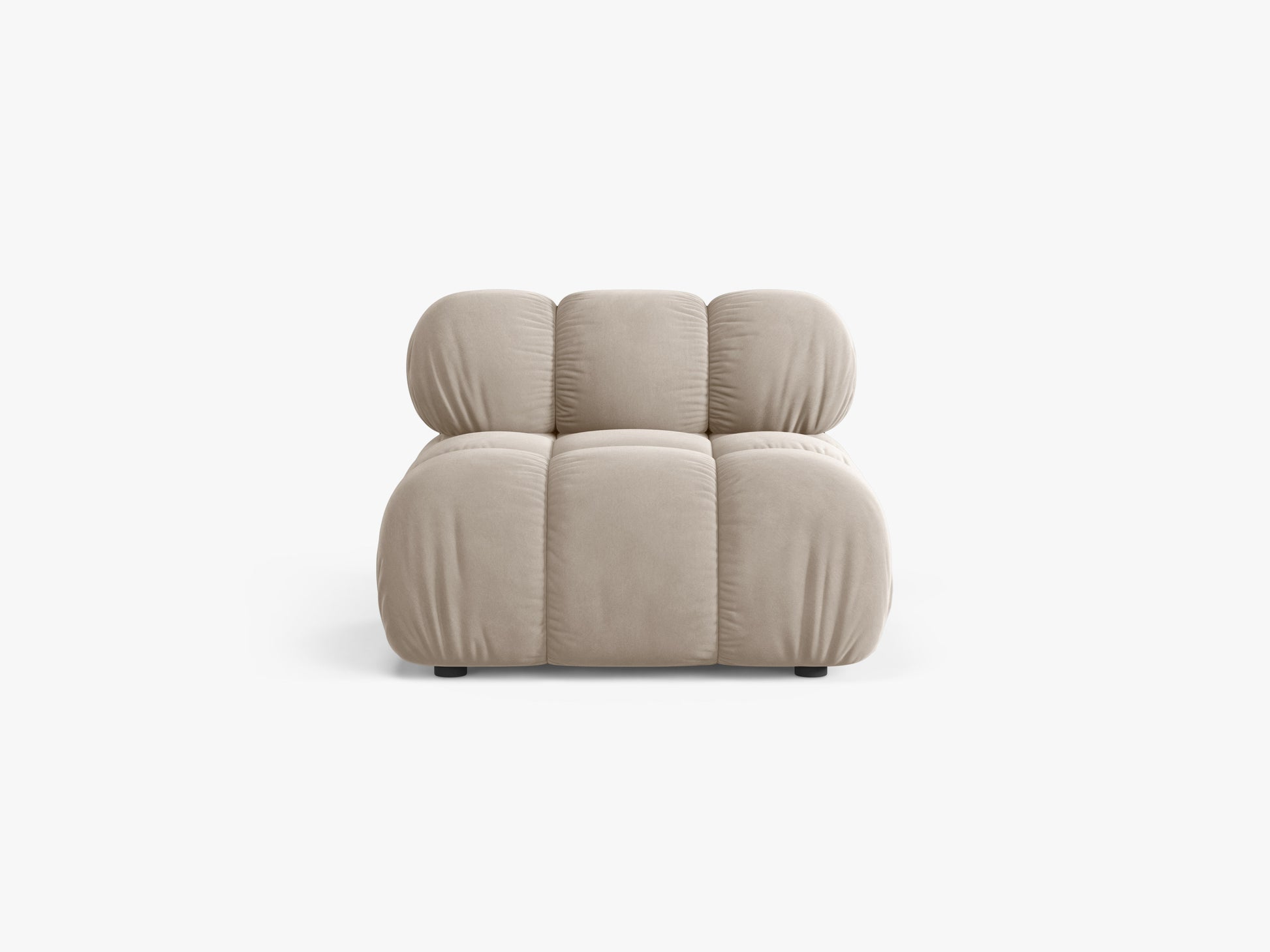 Bellis Velvet (Blu30) / Dark beige 0