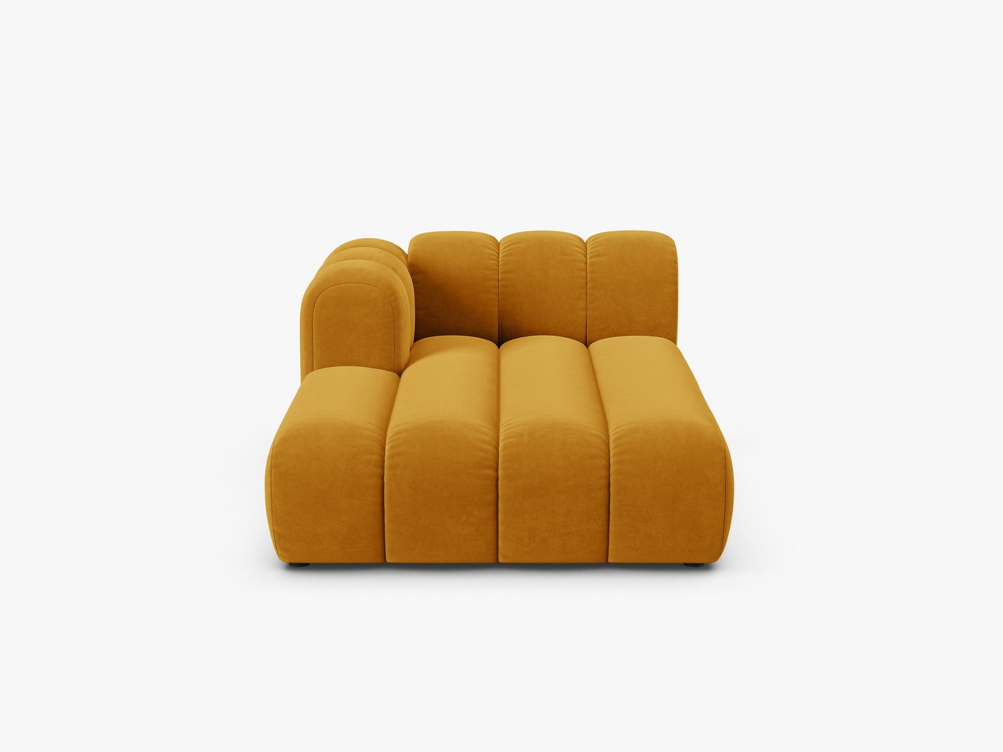 Lupine Velvet (Sal10) / Yellow 0