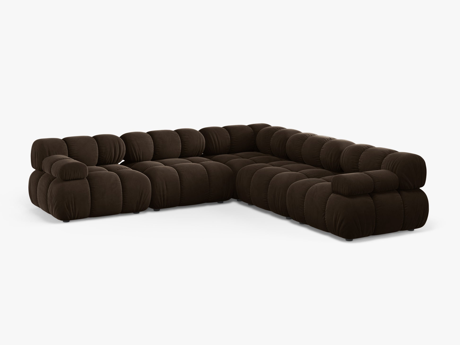 Bellis Velvet (Blu48) / Dark brown 0