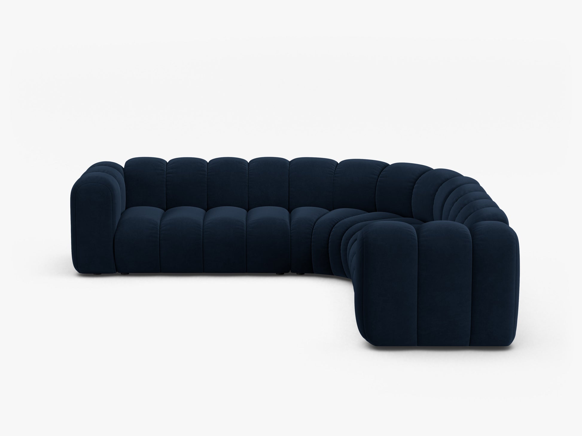 Lupine Velvet (Sal5) / Royal blue 0
