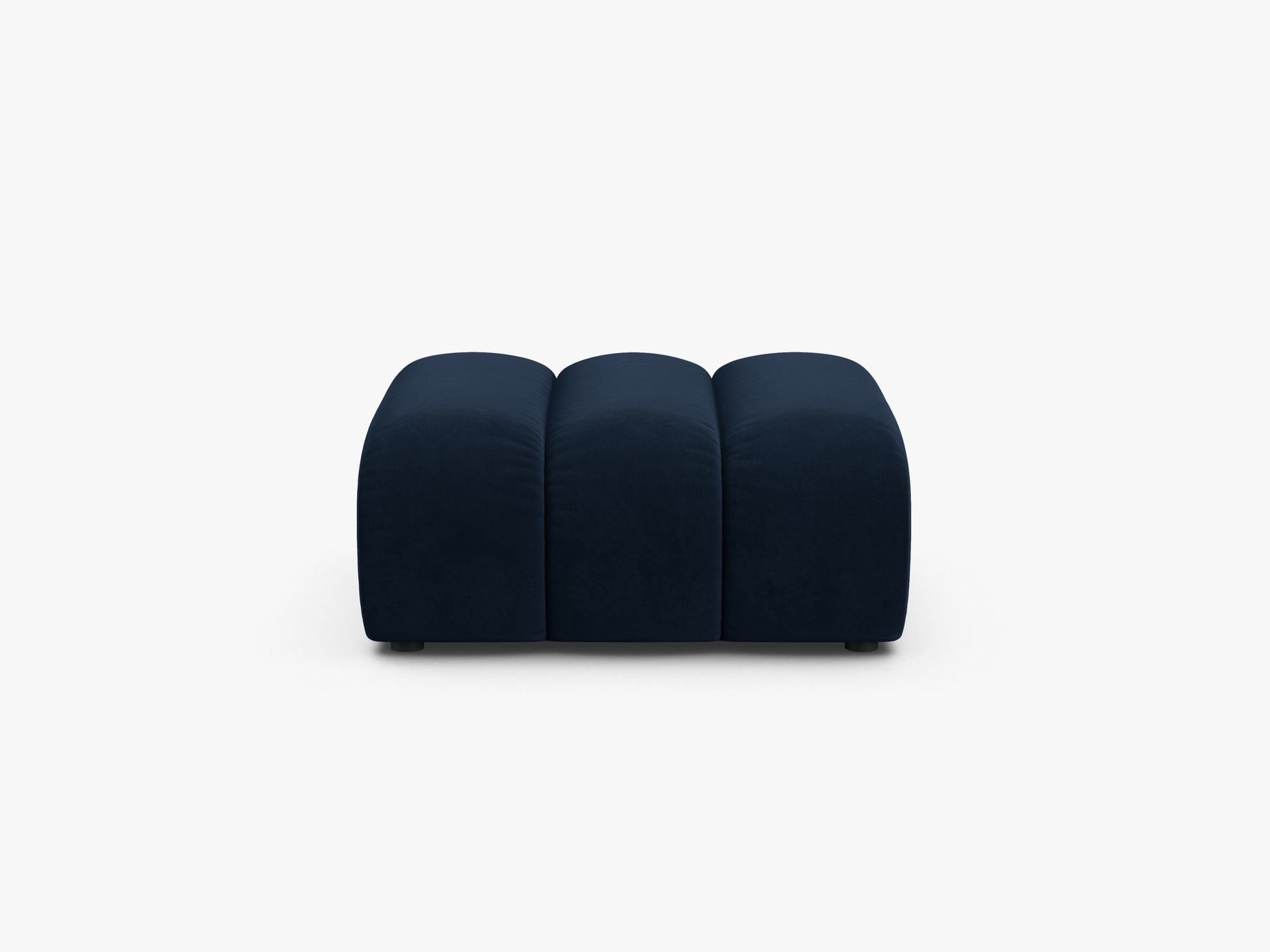Lupine Velvet (Sal5) / Royal blue 0