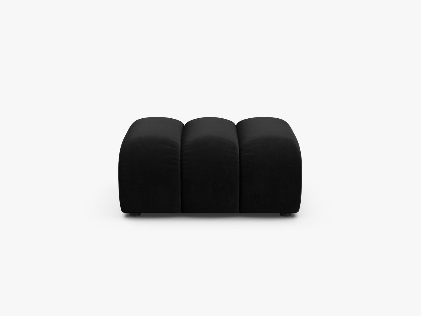 Lupine Velvet (Sal19) / Black 0