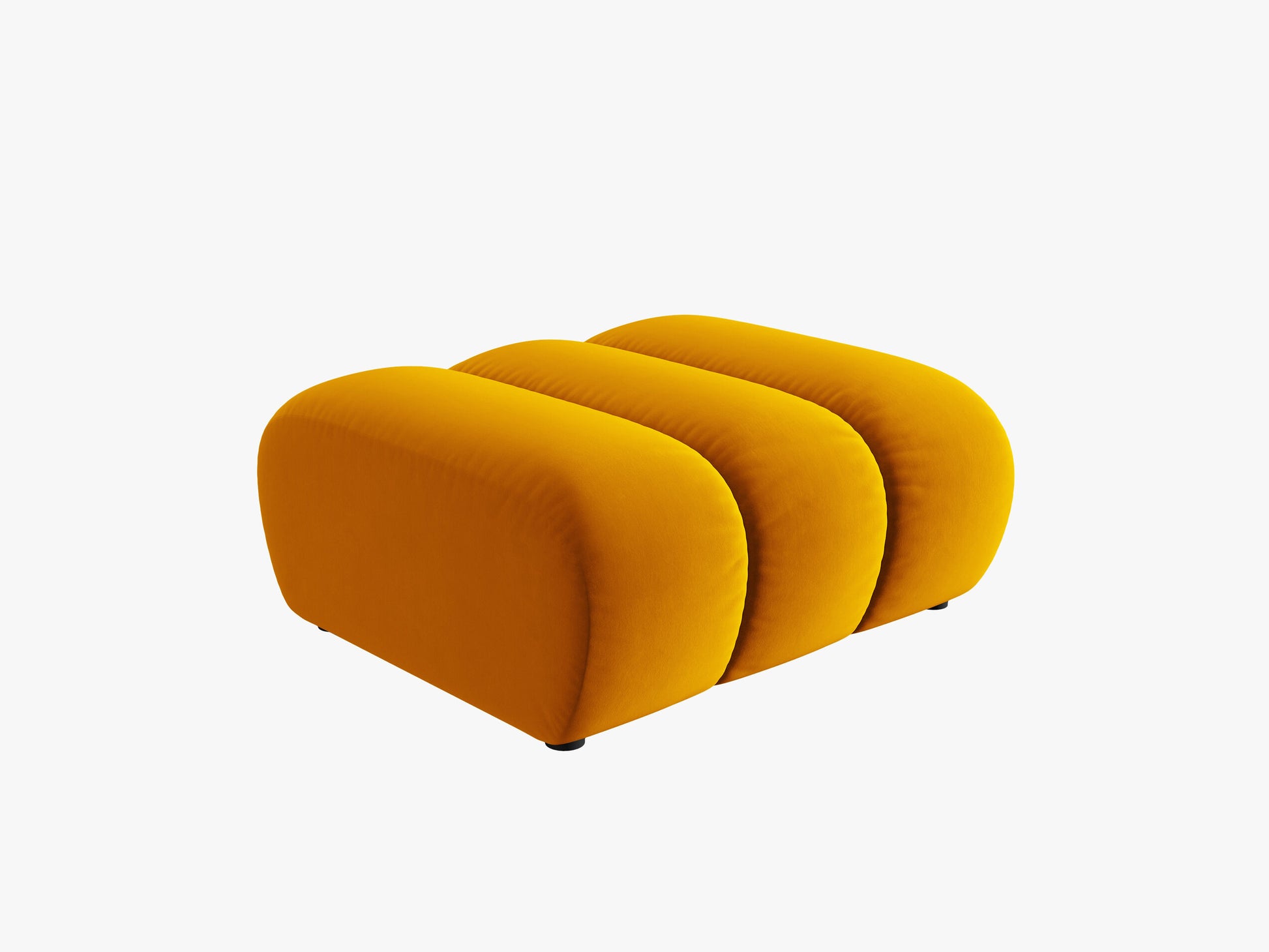Lupine Velvet (Sal10) / Yellow 0