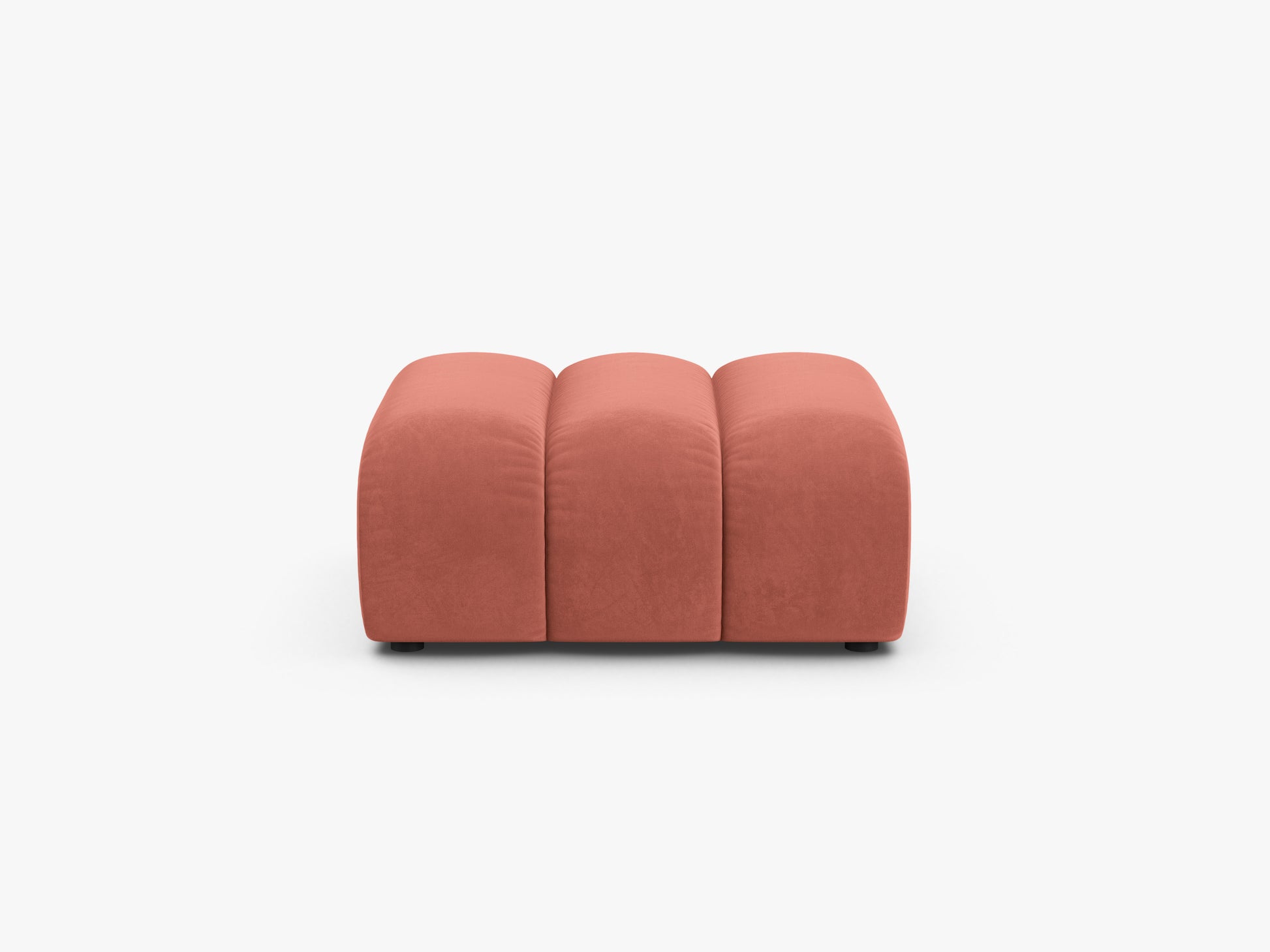 Lupine Velvet (Sal12) / Coral 0