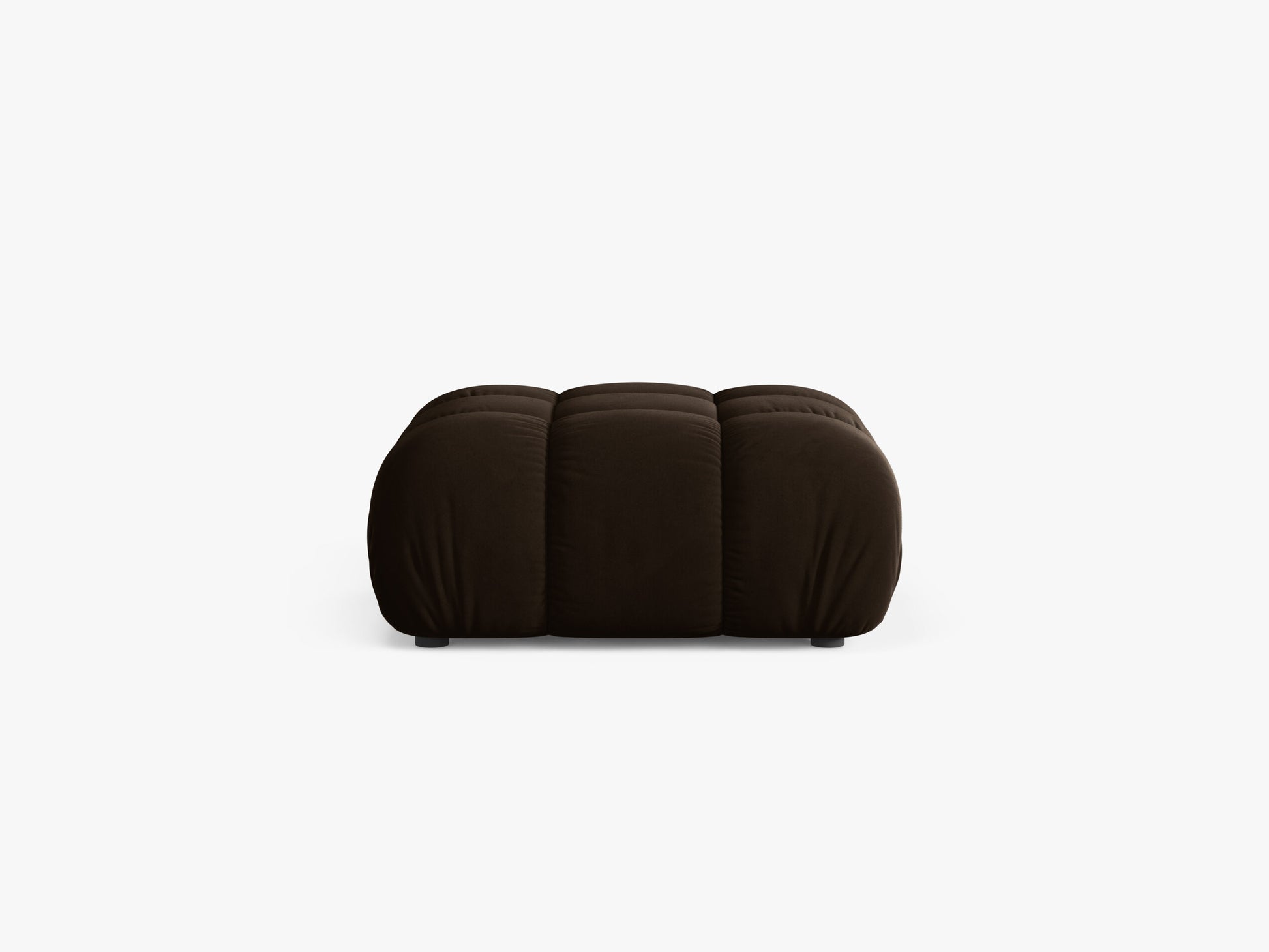 Bellis Velvet (Blu48) / Dark brown 0