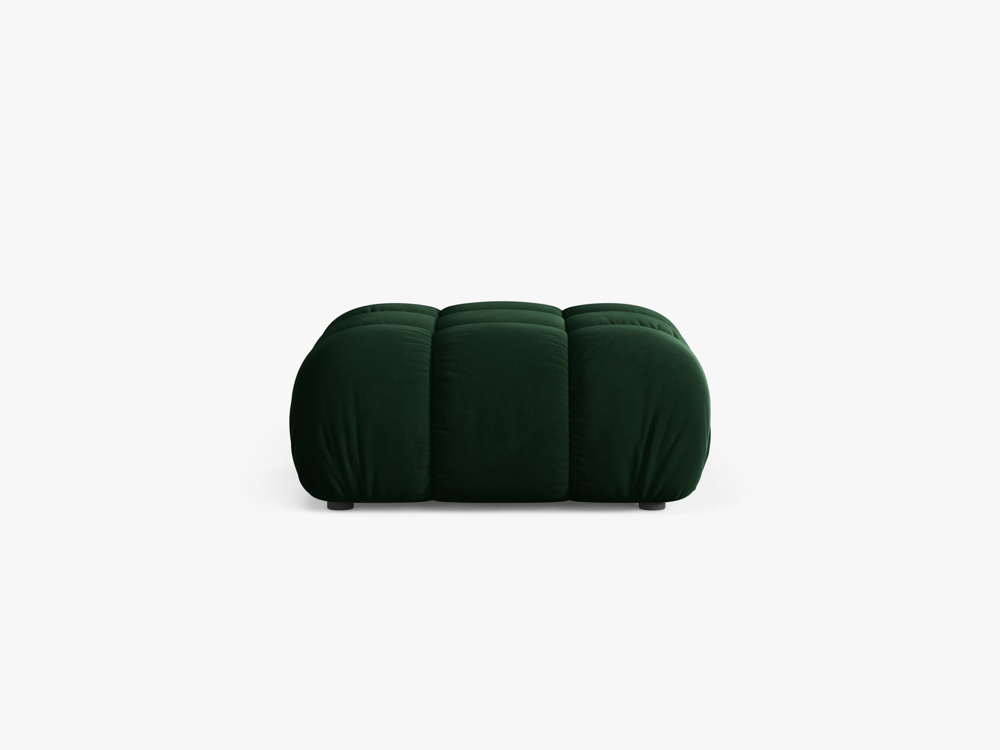 Bellis Velvet (Blu78) / Bottle green 0
