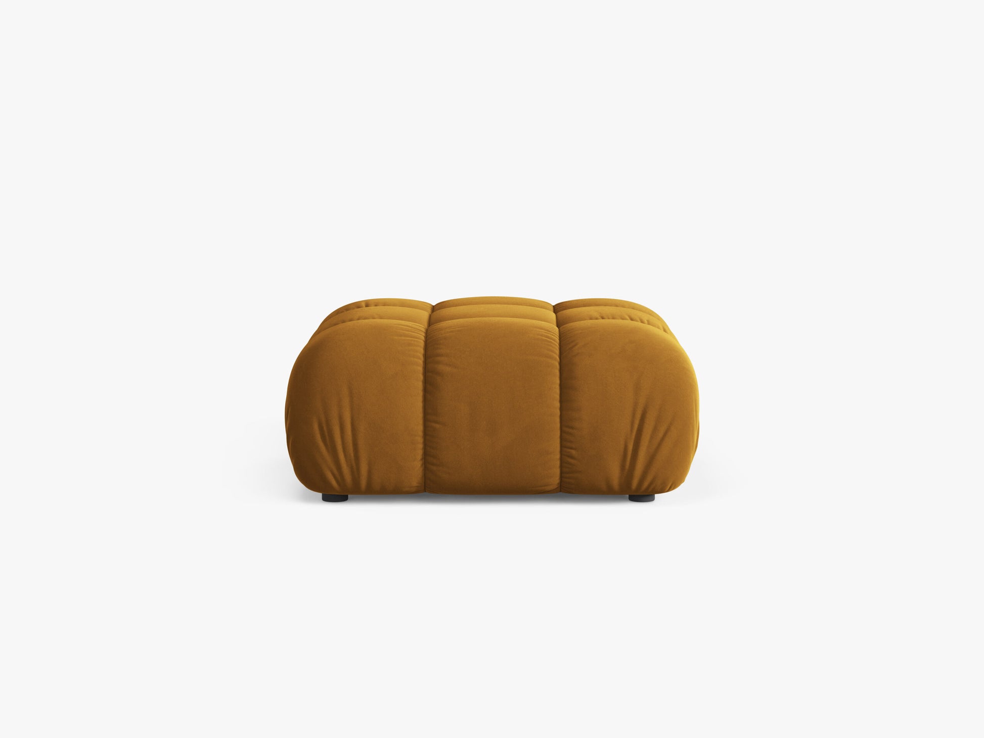 Bellis Velvet (Blu68) / Yellow 0
