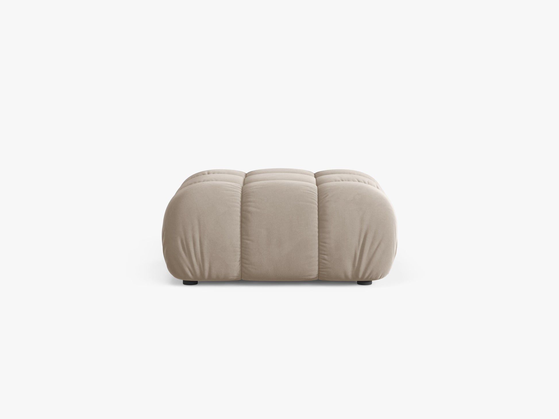 Bellis Velvet (Blu30) / Dark beige 0