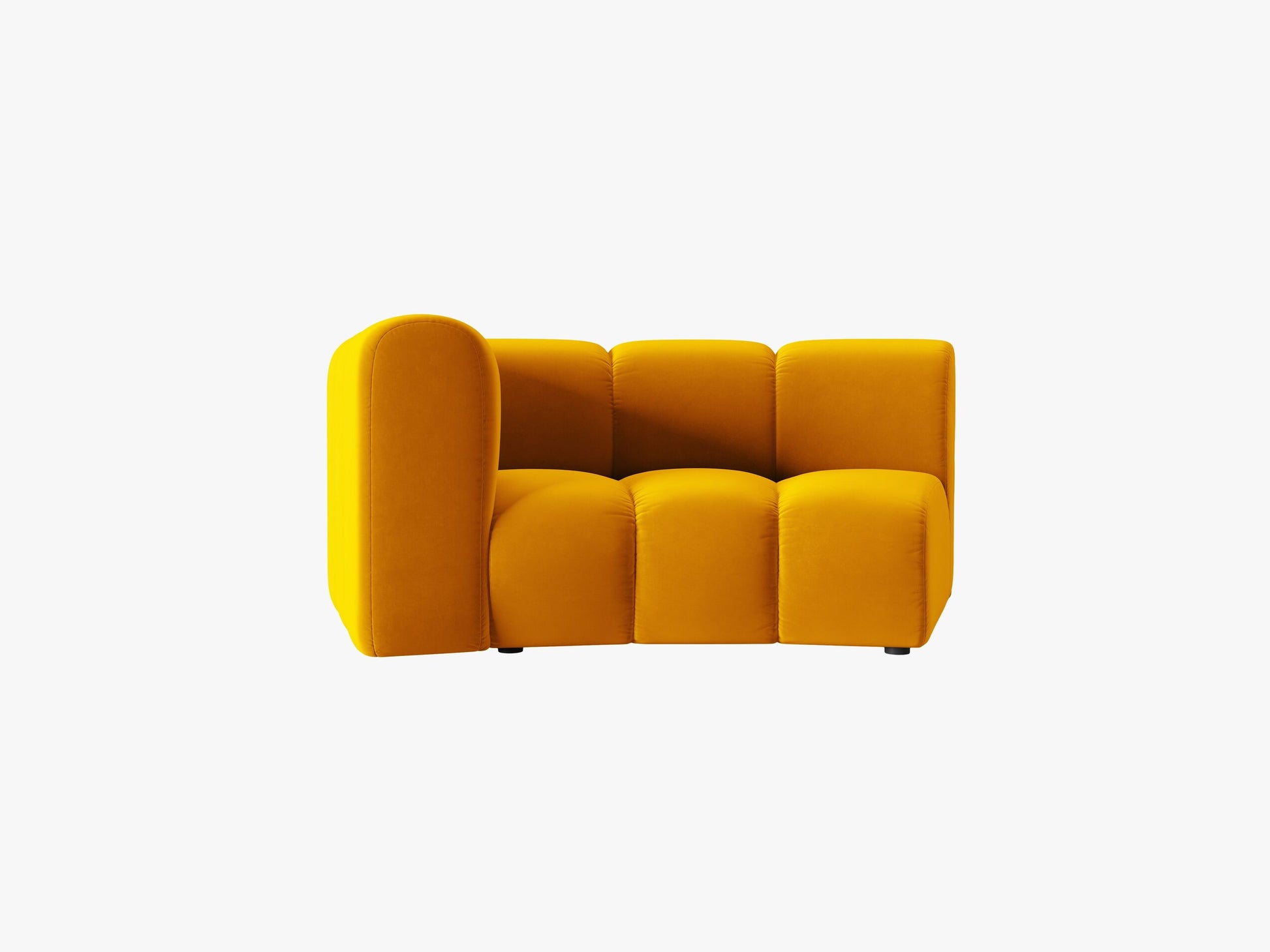 Lupine Velvet (Sal10) / Yellow 0