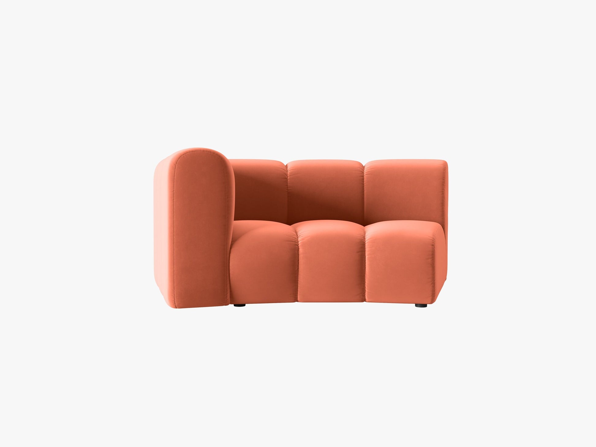 Lupine Velvet (Sal12) / Coral 0