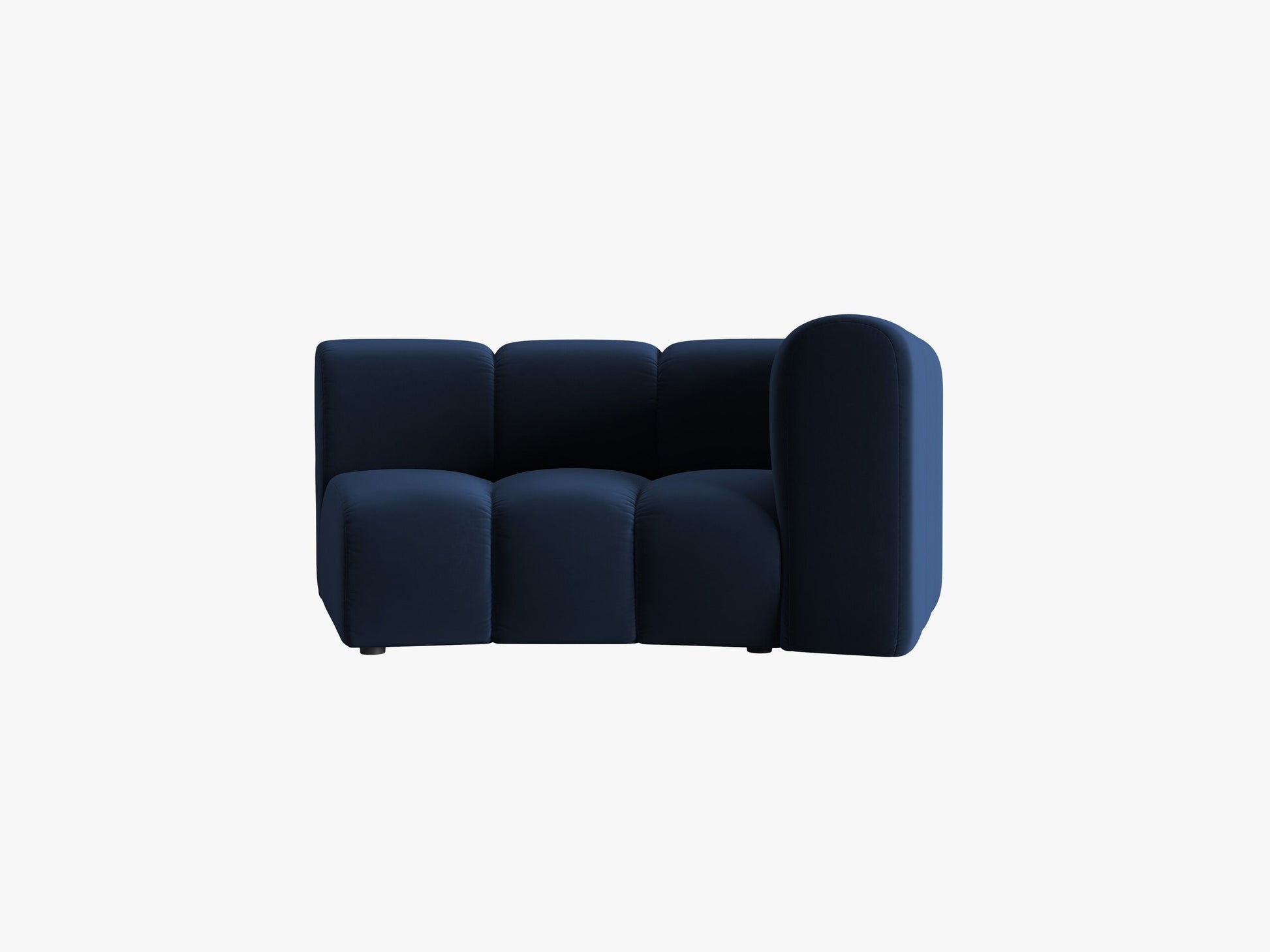 Lupine Velvet (Sal5) / Royal blue 0