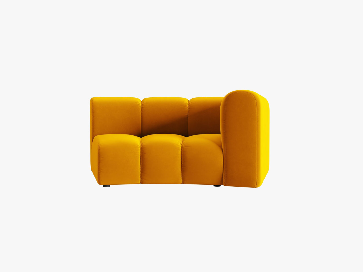 Lupine Velvet (Sal10) / Yellow 0