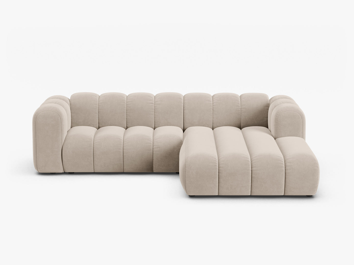 Lupine Velvet (Sal1) / Beige 0