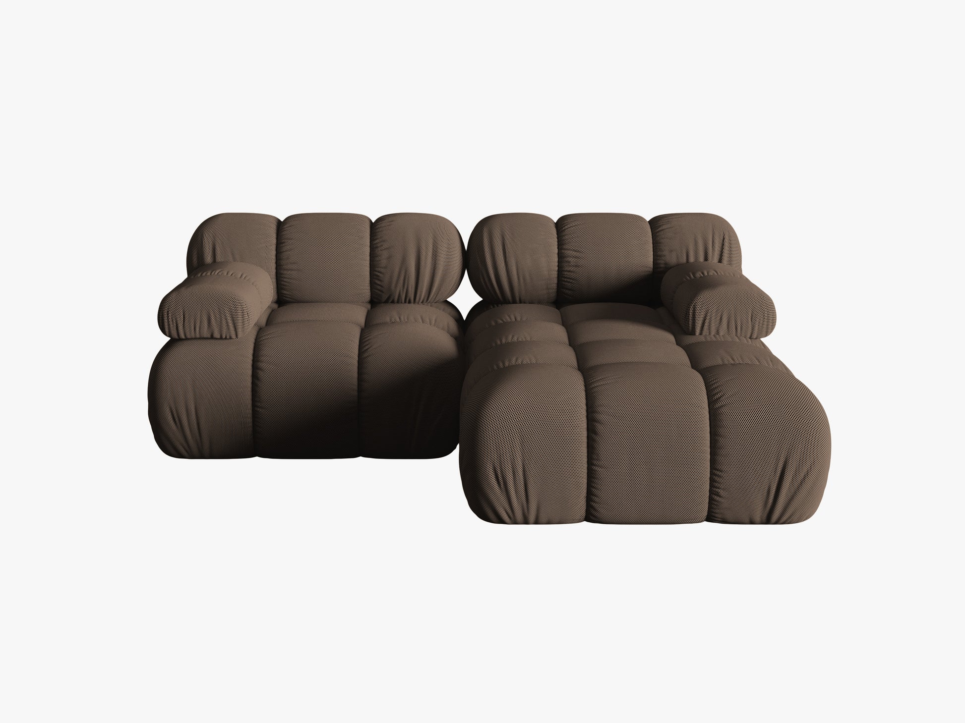 Bellis 3d (Son40) / Brown 0