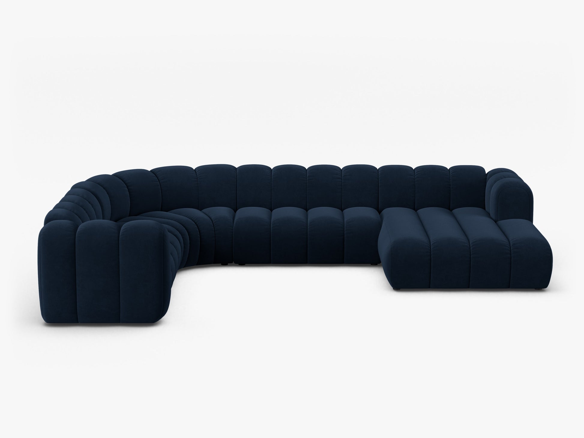 Lupine Velvet (Sal5) / Royal blue 0