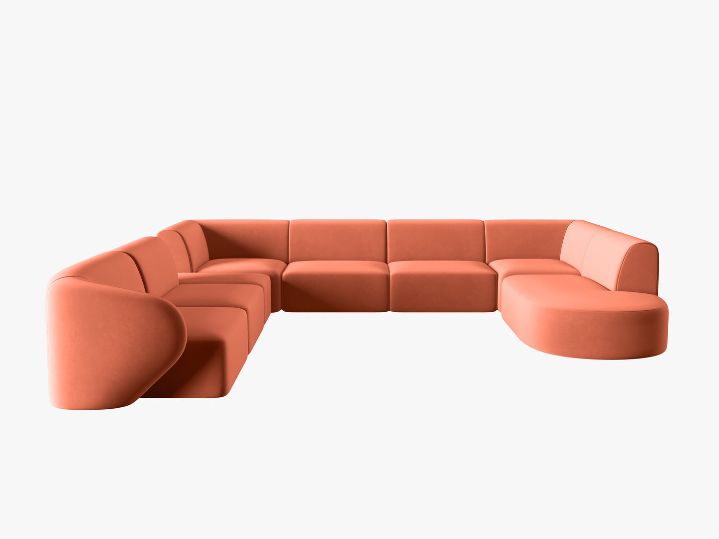 Shane Velvet (Sal12) / Coral 0