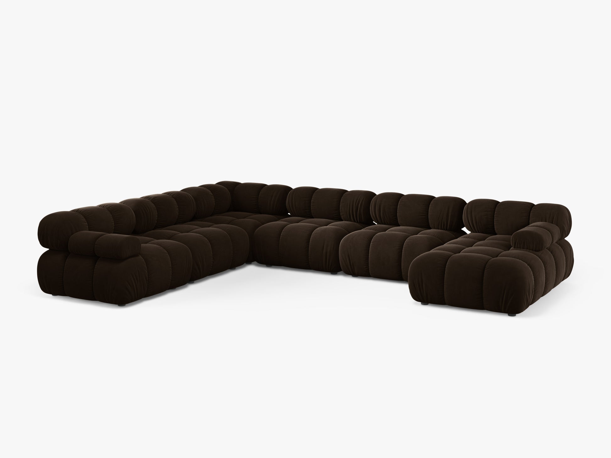 Bellis Velvet (Blu48) / Dark brown 0