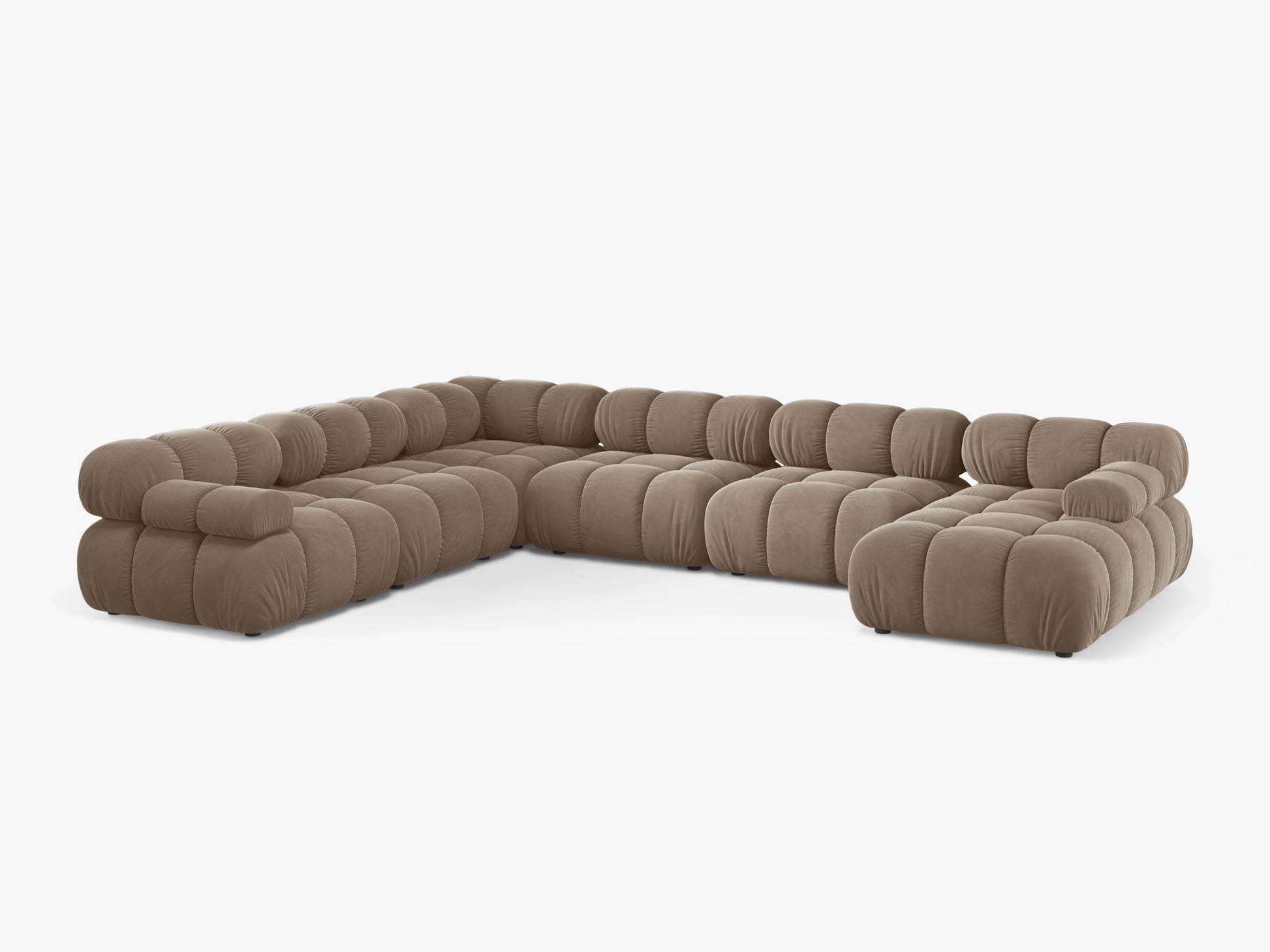 Bellis Velvet (Blu40) / Cappuccino 0