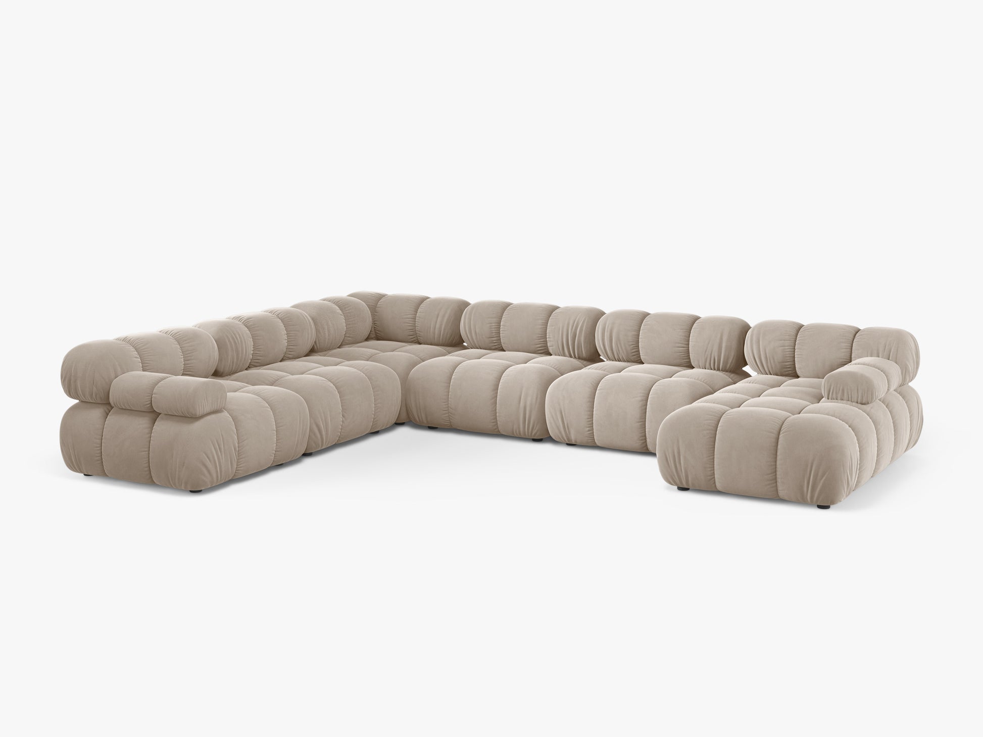 Bellis Velvet (Blu30) / Dark beige 0