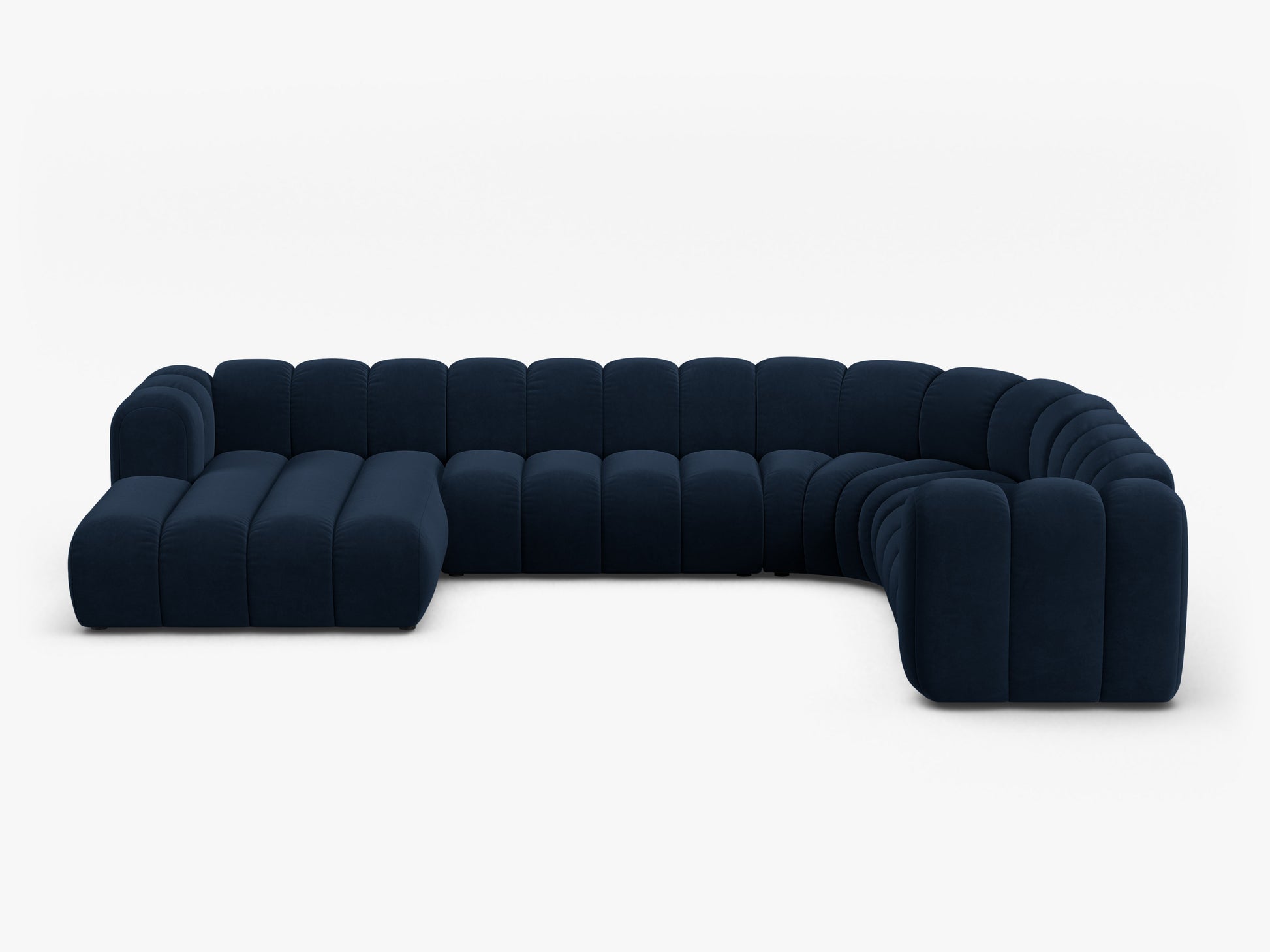 Lupine Velvet (Sal5) / Royal blue 0